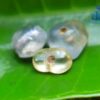 Ancient Natural Sapphire Mukkaru Beads