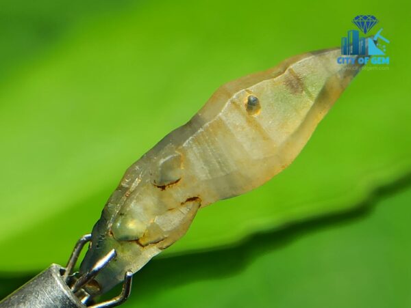 Ceylon Natural Bi-color Sapphire Complete Crystal