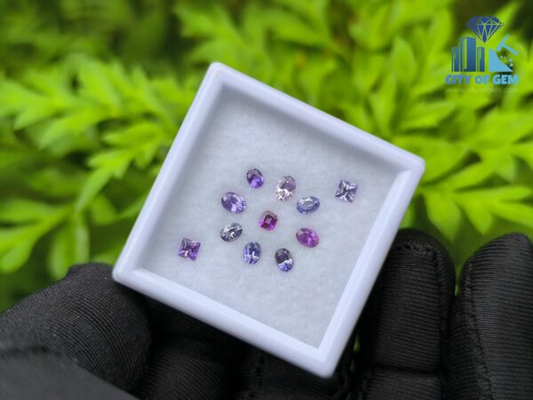 Natural Sapphire Collection for Jewelry Designs