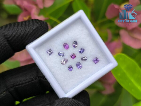 Natural Sapphire Collection for Jewelry Designs