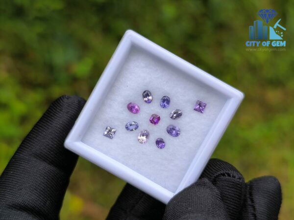 Natural Sapphire Collection for Jewelry Designs