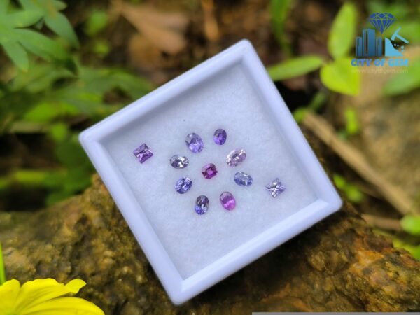 Natural Sapphire Collection for Jewelry Designs