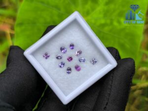 Natural Sapphire Collection for Jewelry Designs