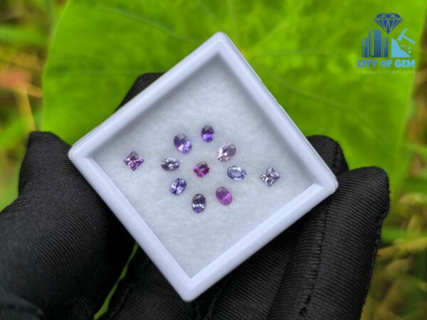 Natural Sapphire Collection for Jewelry Designs