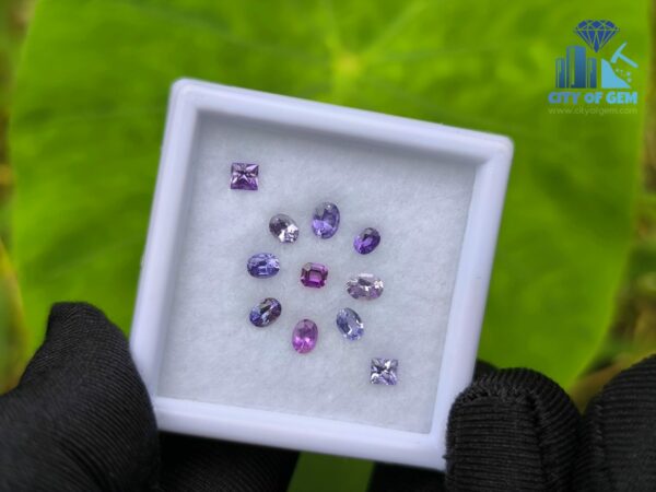 Natural Sapphire Collection for Jewelry Designs