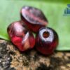 Ancient Natural Garnet Mukkaru Beads