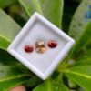 Ceylon Natural Brown Zircon and Red Garnet Oval Pair for Jewelry Designs