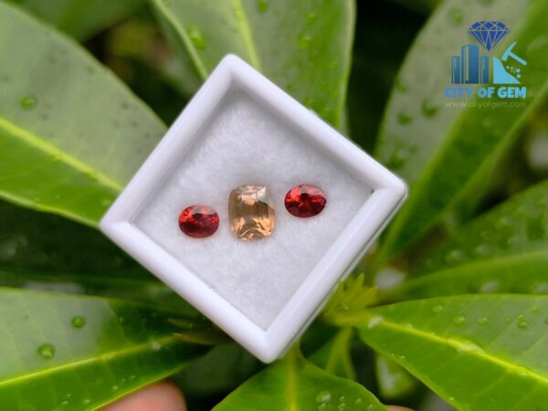 Ceylon Natural Brown Zircon and Red Garnet Oval Pair for Jewelry Designs