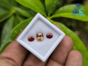 Ceylon Natural Brown Zircon and Red Garnet Oval Pair for Jewelry Designs