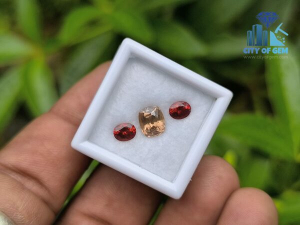 Ceylon Natural Brown Zircon and Red Garnet Oval Pair for Jewelry Designs