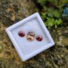 Ceylon Natural Brown Zircon and Red Garnet Oval Pair for Jewelry Designs