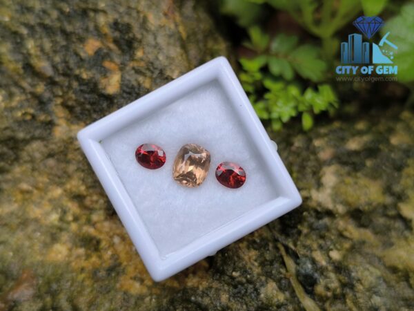 Ceylon Natural Brown Zircon and Red Garnet Oval Pair for Jewelry Designs