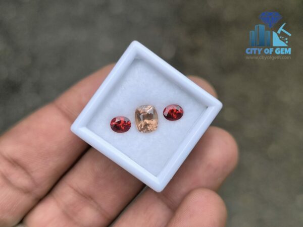 Ceylon Natural Brown Zircon and Red Garnet Oval Pair for Jewelry Designs