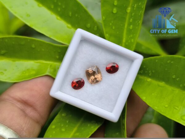 Ceylon Natural Brown Zircon and Red Garnet Oval Pair for Jewelry Designs