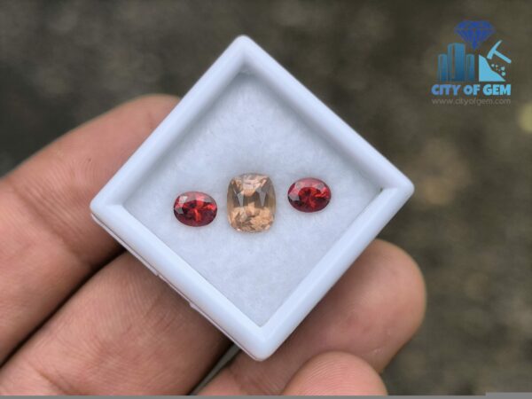 Ceylon Natural Brown Zircon and Red Garnet Oval Pair for Jewelry Designs