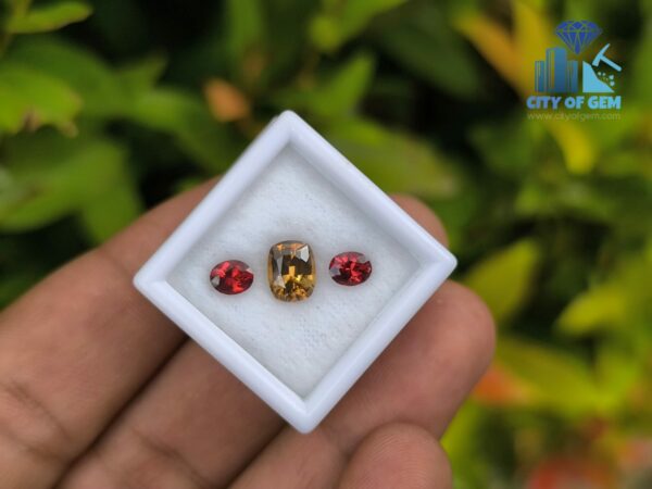 Ceylon Natural Garnet Pair & Yellow Zircon for Jewelry Designs