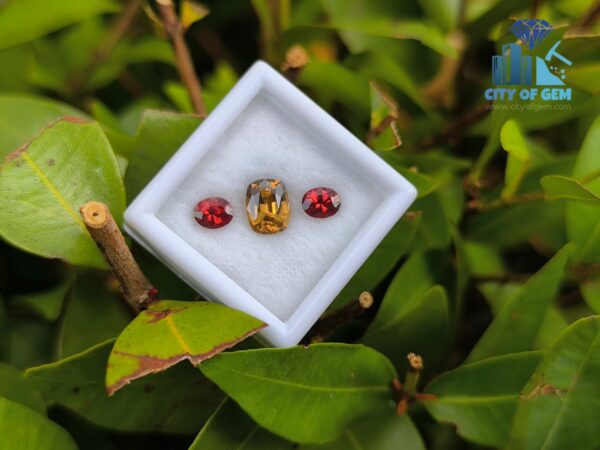 Ceylon Natural Garnet Pair & Yellow Zircon for Jewelry Designs