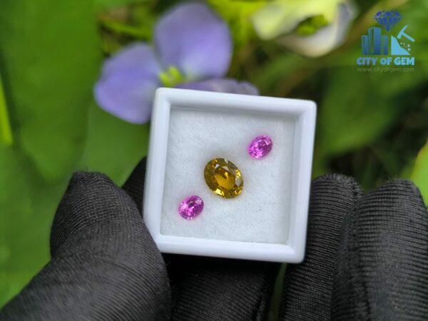 Ceylon Natural Pink Sapphire Pair & Yellow Zircon for Jewelry Designs
