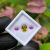 Ceylon Natural Pink Sapphire Pair & Yellow Zircon for Jewelry Designs