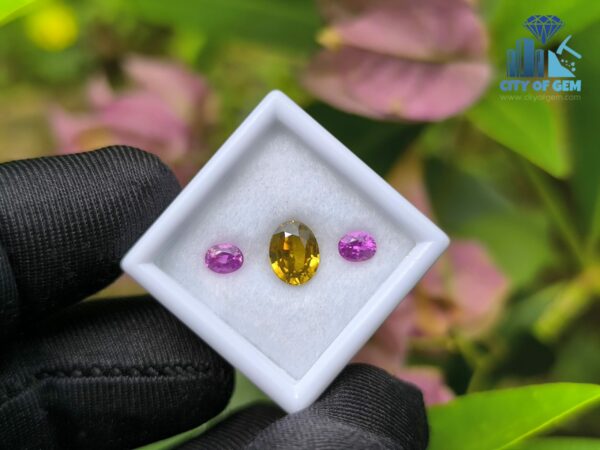 Ceylon Natural Pink Sapphire Pair & Yellow Zircon for Jewelry Designs