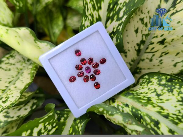 Ceylon Natural Red & Pink Garnet Collection for Jewelry Designs