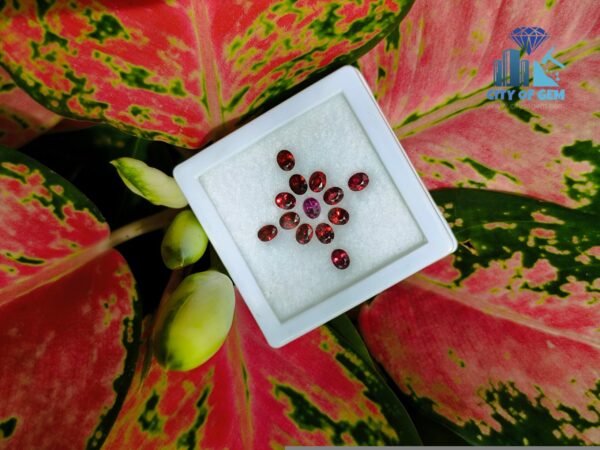 Ceylon Natural Red & Pink Garnet Collection for Jewelry Designs