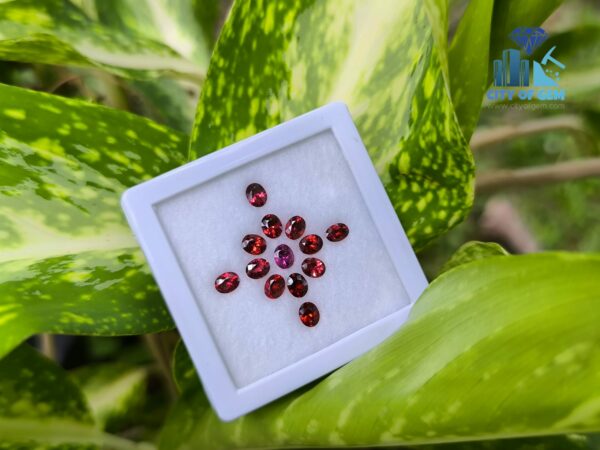 Ceylon Natural Red & Pink Garnet Collection for Jewelry Designs
