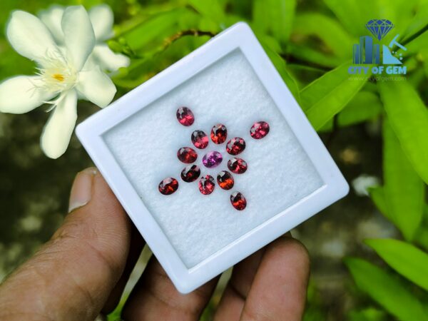 Ceylon Natural Red & Pink Garnet Collection for Jewelry Designs