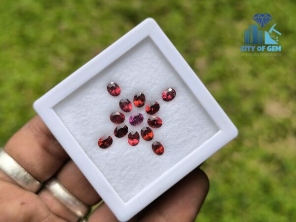 Ceylon Natural Red & Pink Garnet Collection for Jewelry Designs