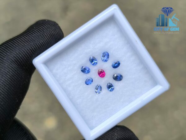 Ceylon Natural Ruby & Blue Sapphires Collection for Jewelry Designs