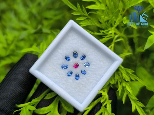 Ceylon Natural Ruby & Blue Sapphires Collection for Jewelry Designs