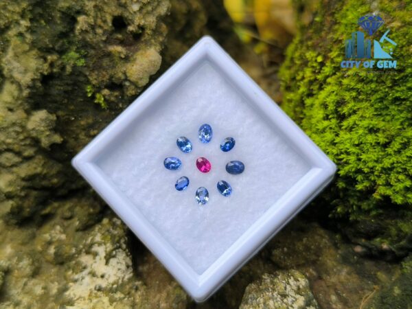 Ceylon Natural Ruby & Blue Sapphires Collection for Jewelry Designs