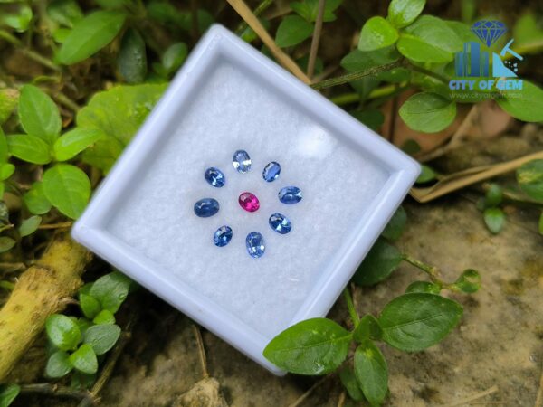 Ceylon Natural Ruby & Blue Sapphires Collection for Jewelry Designs