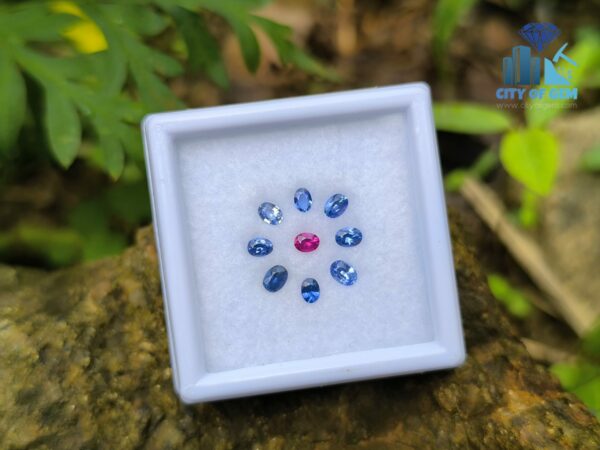 Ceylon Natural Ruby & Blue Sapphires Collection for Jewelry Designs