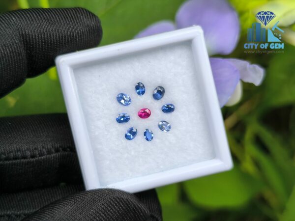Ceylon Natural Ruby & Blue Sapphires Collection for Jewelry Designs