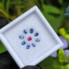 Ceylon Natural Ruby & Blue Sapphires Collection for Jewelry Designs