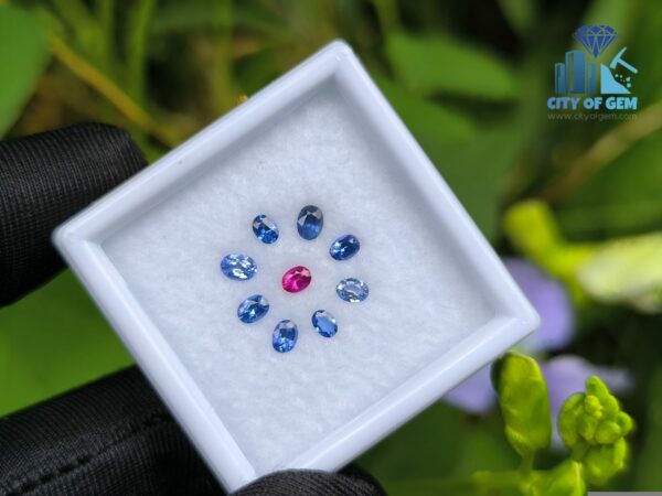 Ceylon Natural Ruby & Blue Sapphires Collection for Jewelry Designs