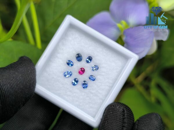 Ceylon Natural Ruby & Blue Sapphires Collection for Jewelry Designs