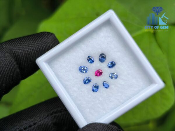 Ceylon Natural Ruby & Blue Sapphires Collection for Jewelry Designs