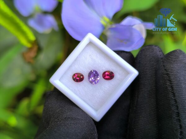 Ceylon Natural Purple Sapphire and Red Garnet Oval Pair for Jewelry Designs