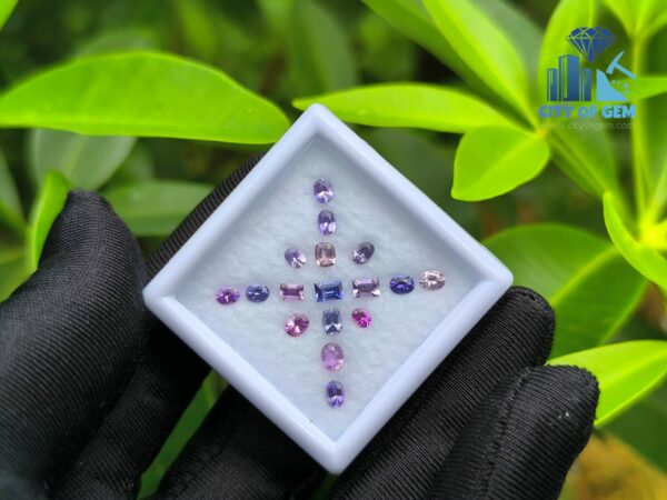 Ceylon Natural Sapphire collection for Jewelry Designs