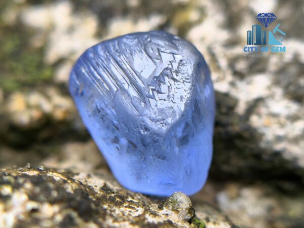 FACET GRADE CEYLON NATURAL BLUE SAPPHIRE ALLUVIAL ROUGH