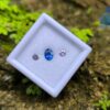 Ceylon Cornflower Blue Sapphire & Light Pink Pair for Jewelry Designs