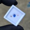 Ceylon Cornflower Blue Sapphire & Light Pink Pair for Jewelry Designs