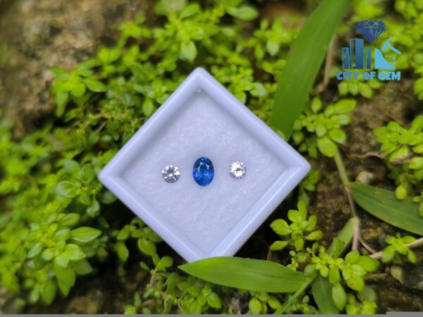 Ceylon Cornflower Blue Sapphire & Light Pink Pair for Jewelry Designs