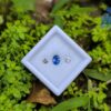 Ceylon Cornflower Blue Sapphire & Light Pink Pair for Jewelry Designs