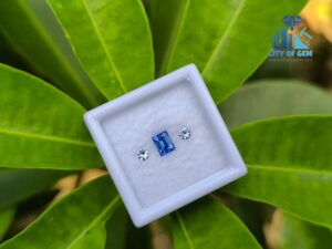 Ceylon Natural Cornflower Blue Sapphire & Light Blue Pair for Jewelry Designs