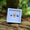 Ceylon-Natural-Yellow-Sapphire-Blue-Pair-for-Jewelry-Designs