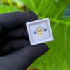 Ceylon-Natural-Yellow-Sapphire-Blue-Pair-for-Jewelry-Designs