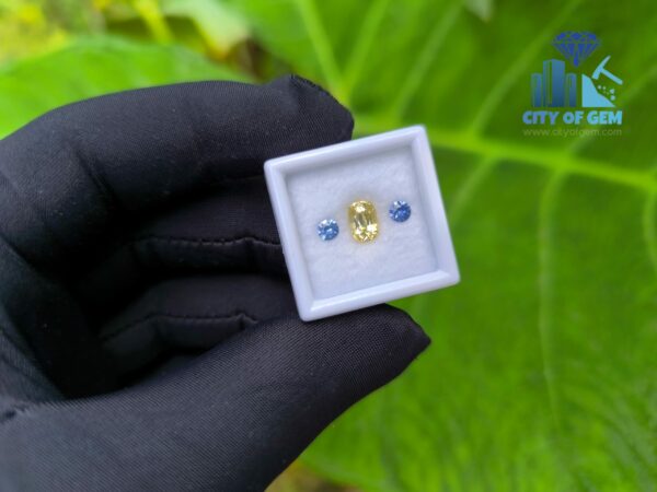 Ceylon-Natural-Yellow-Sapphire-Blue-Pair-for-Jewelry-Designs